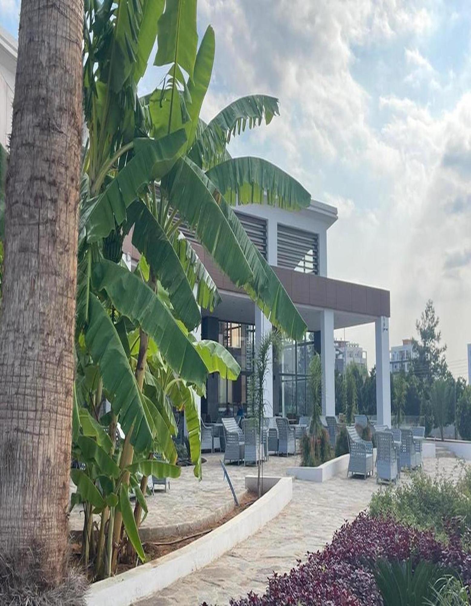 Ekor Elegance Hotel فاماغوستا المظهر الخارجي الصورة